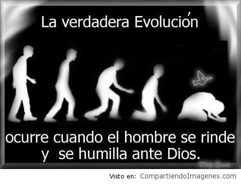 La verdadera evolucion