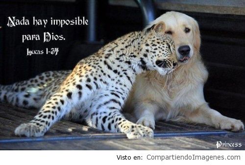 Nada hay imposible para Dios3