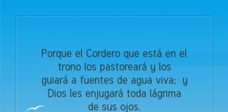 Postal – Porque el Cordero que…