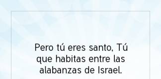 Postal – Pero tú eres santo,…