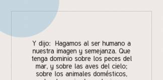 Postal – Y dijo: Hagamos…
